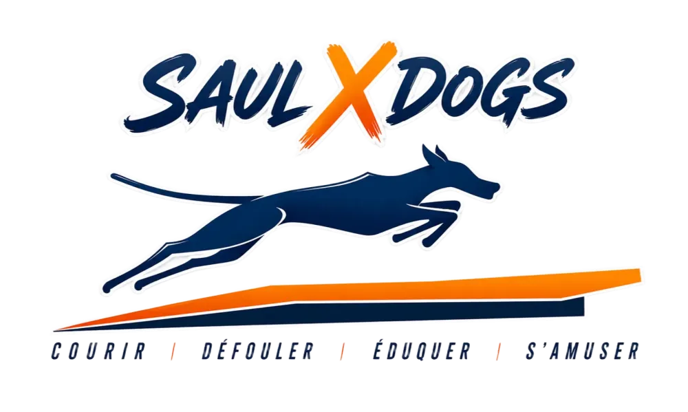LOGO A JOUR SAULX DOGS - SANS FOND