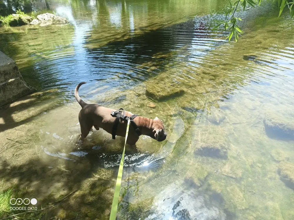 detente (2)